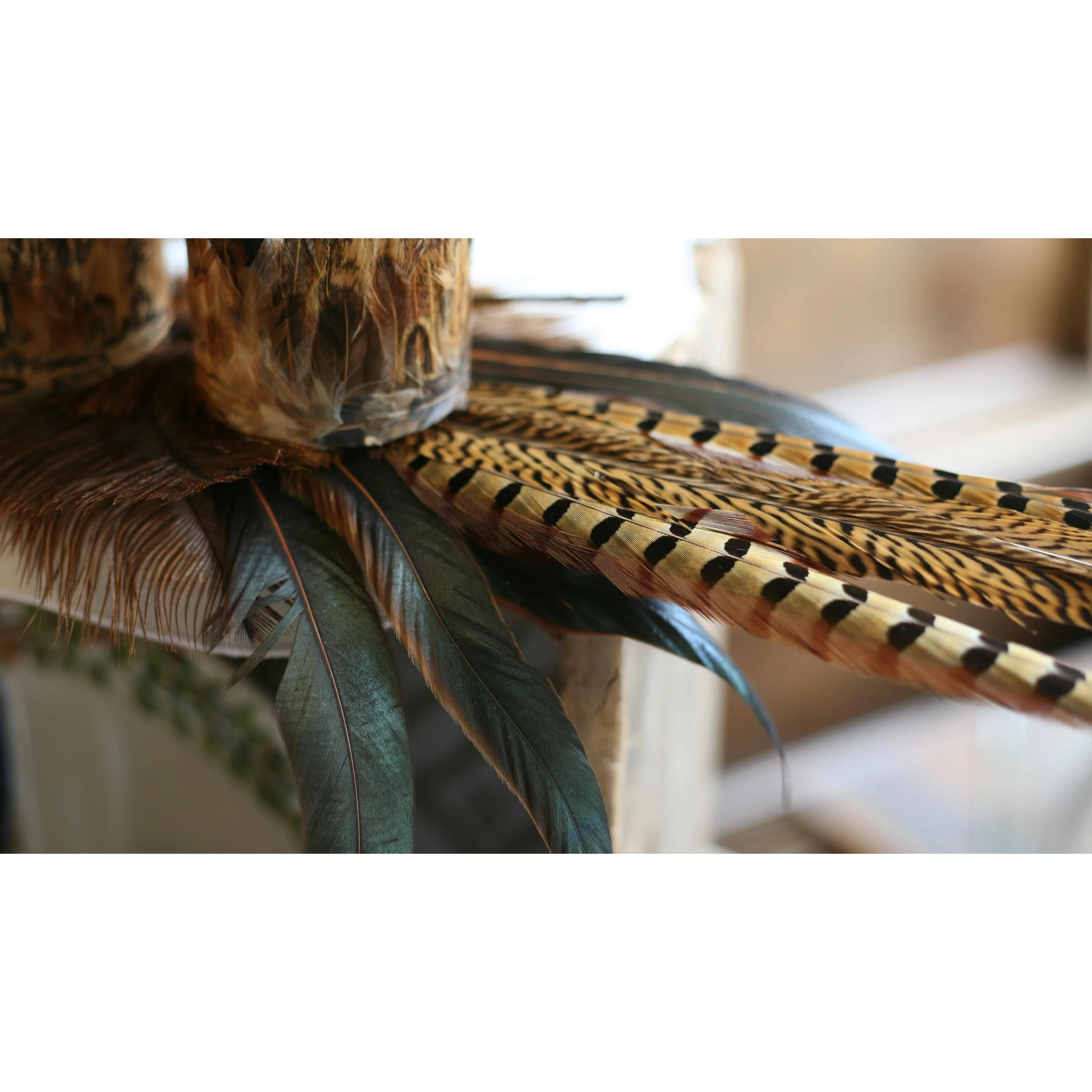 35" Pheasant Feather Spray
