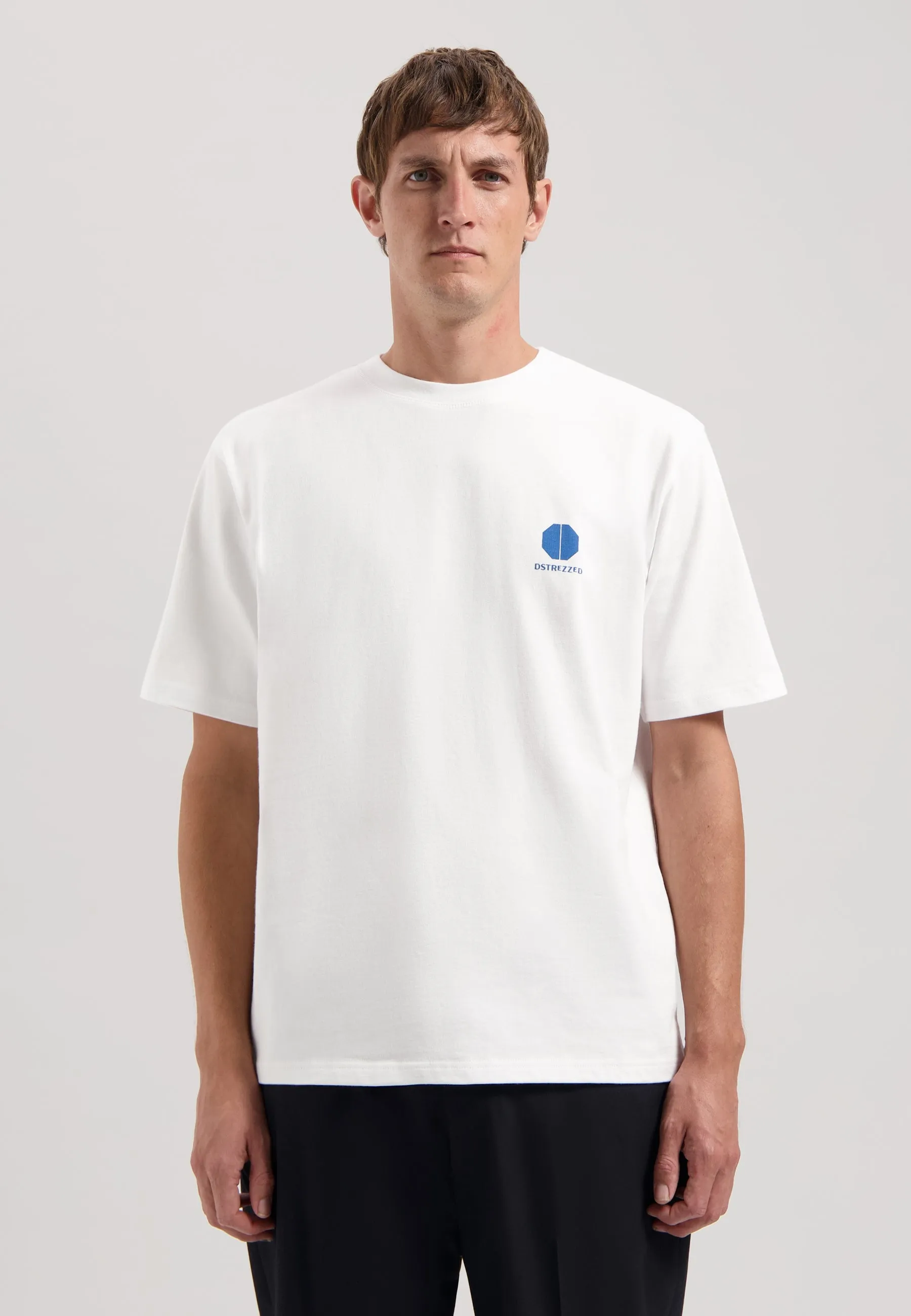Ebbe T-Shirt Boxy Fit Arctic