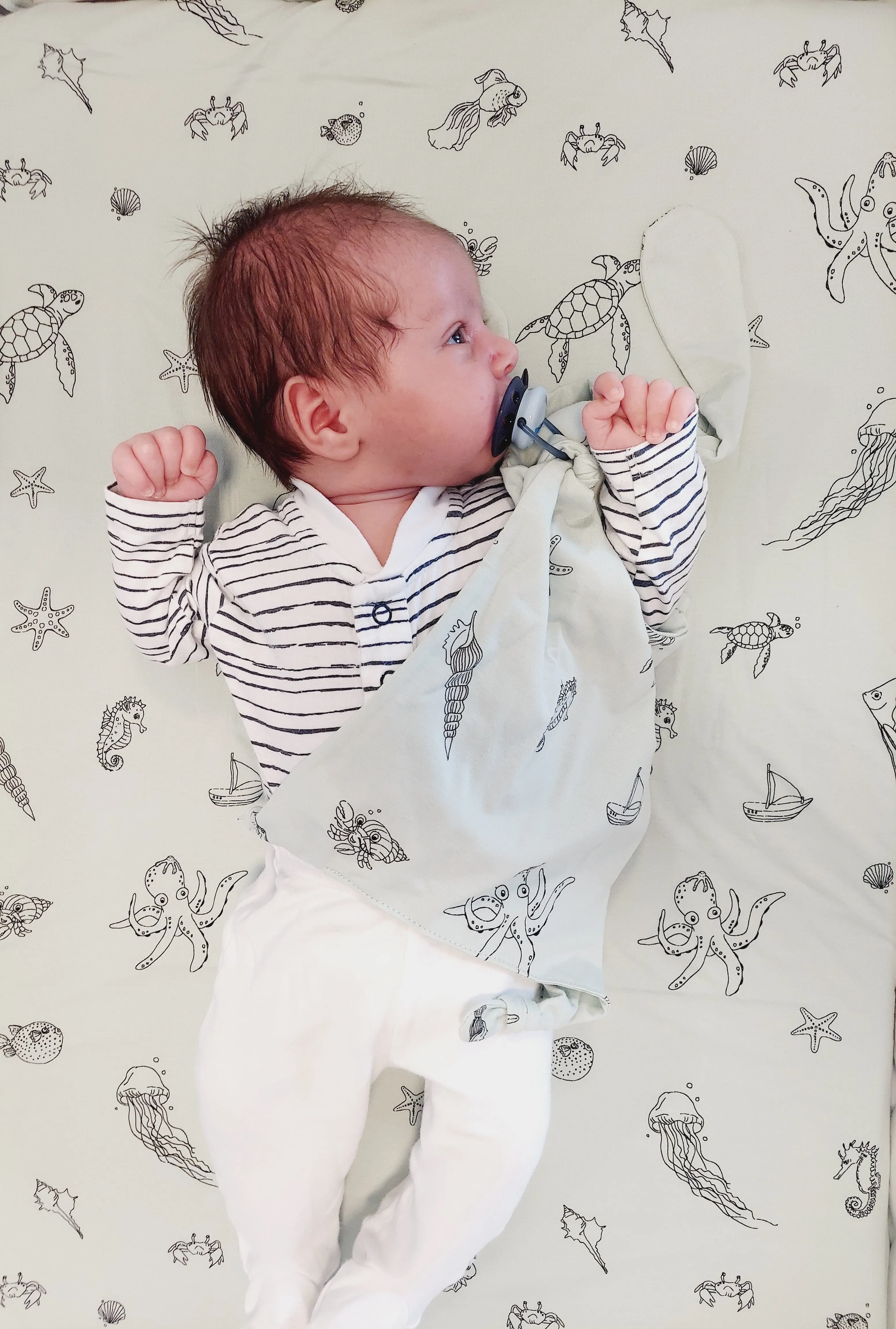 Fitted Crib Sheet- organic cotton