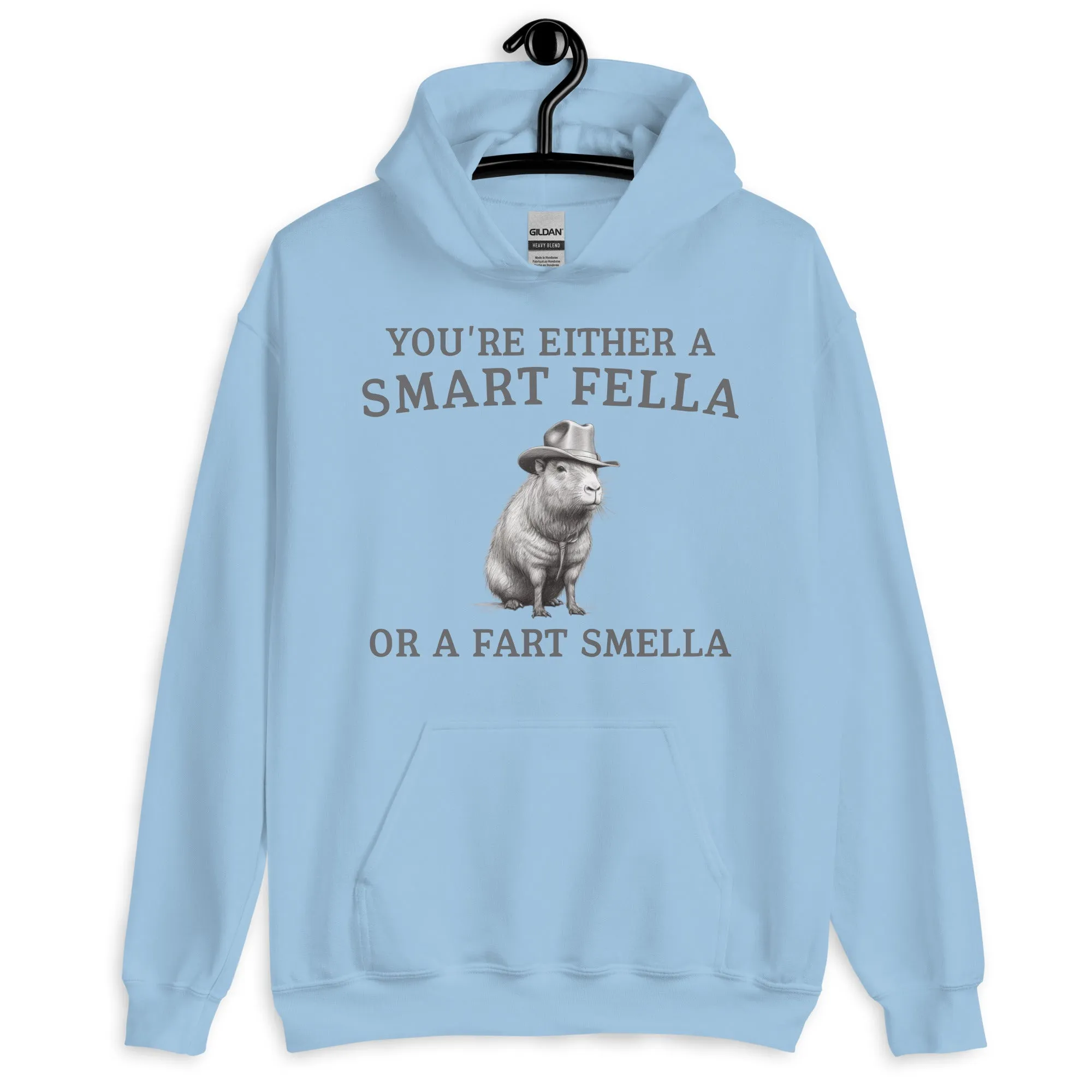 Funny Saying Smart Fella Unisex Meme Hoodie