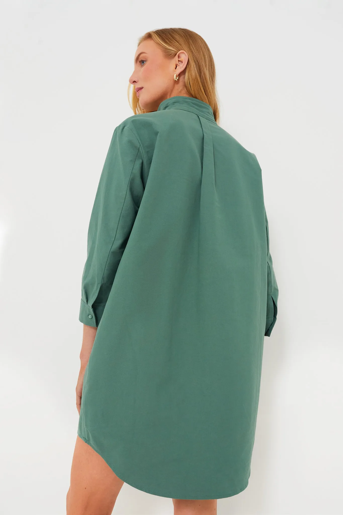 Green Polly Dress