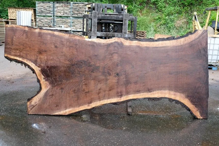 Oregon Black Walnut Slab 061723-04