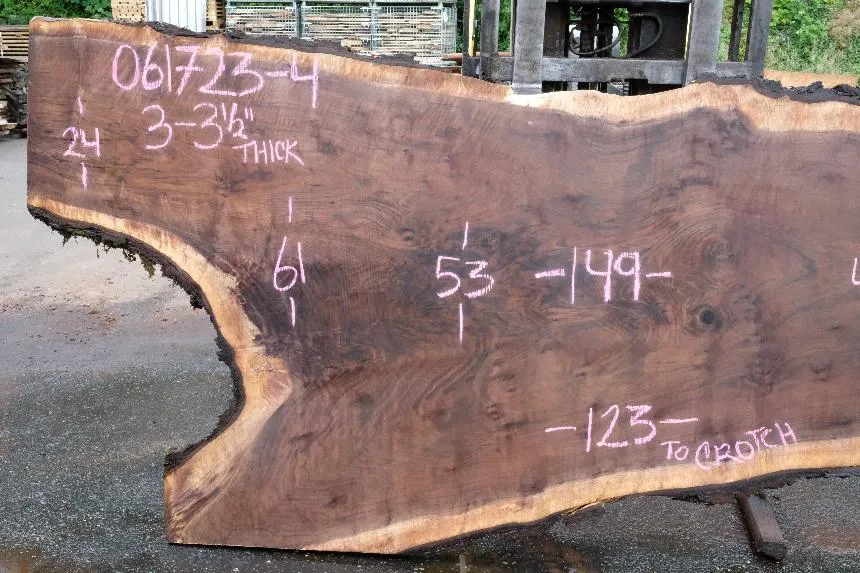 Oregon Black Walnut Slab 061723-04