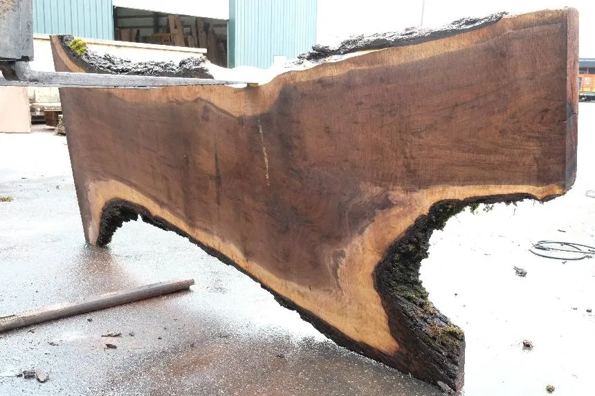 Oregon Black Walnut Slab 061723-04