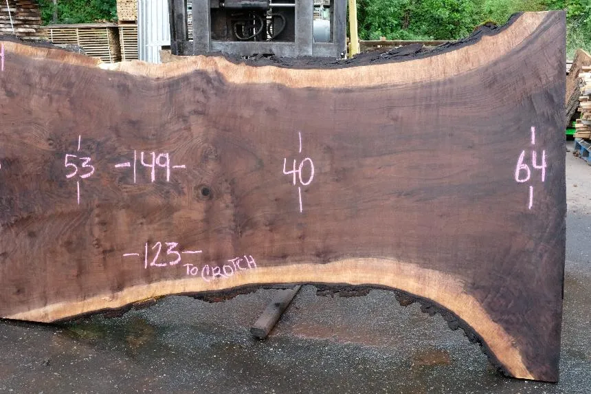 Oregon Black Walnut Slab 061723-04