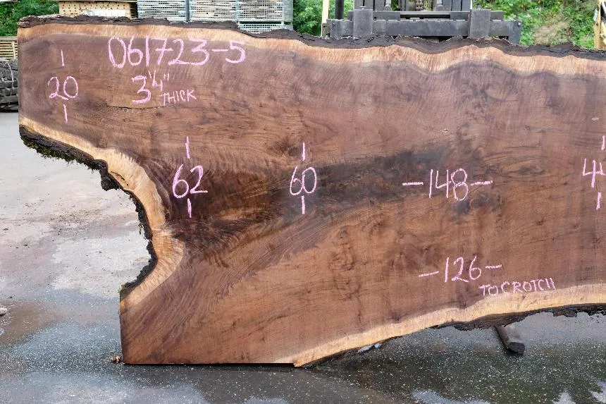 Oregon Black Walnut Slab 061723-05