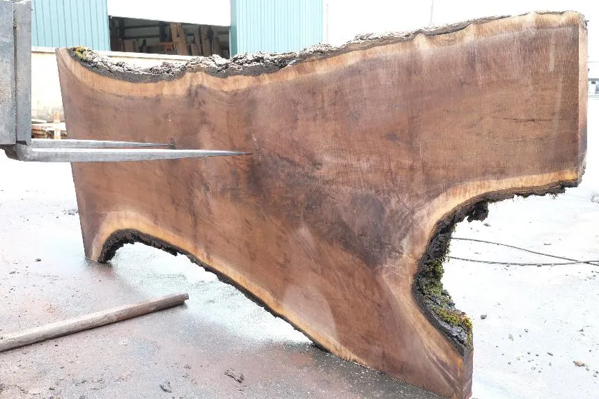Oregon Black Walnut Slab 061723-05