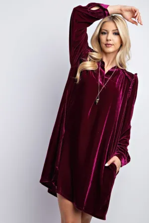 Plum Charming Velvet  Dress