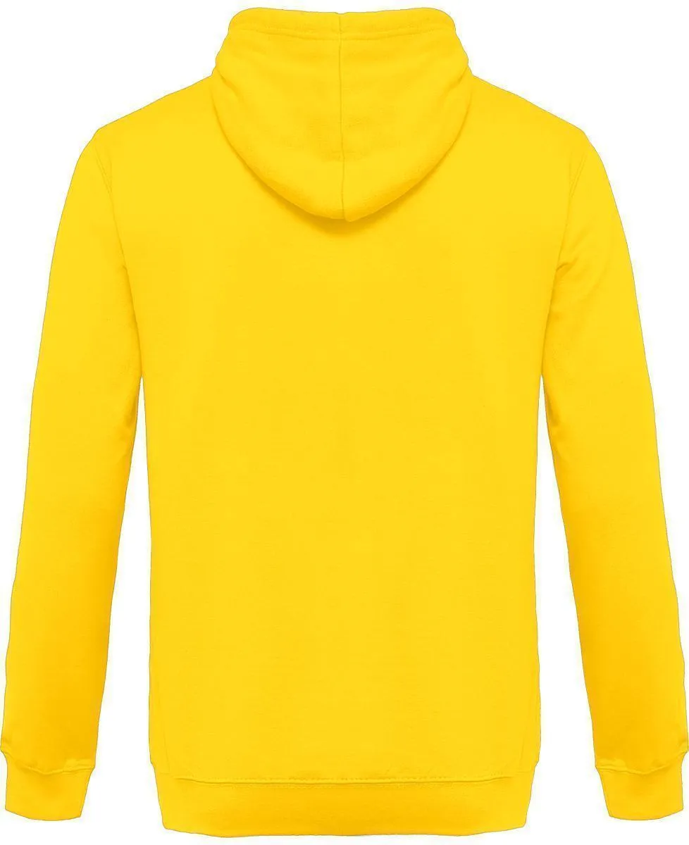 Pull Survet BMW M POWER Hoodie