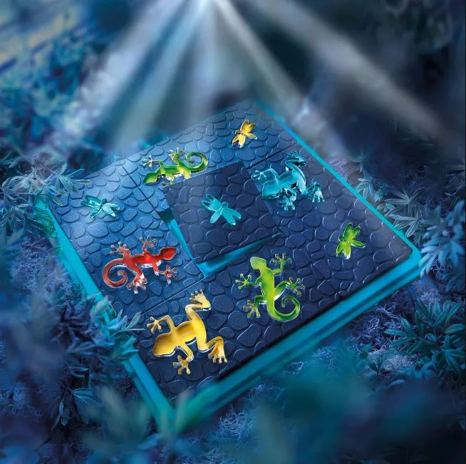 Smart Games Colour Catch